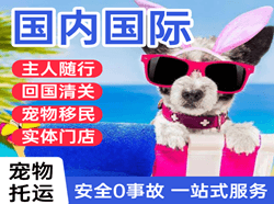 榆林榆阳空运公司国际宠物托运 【国